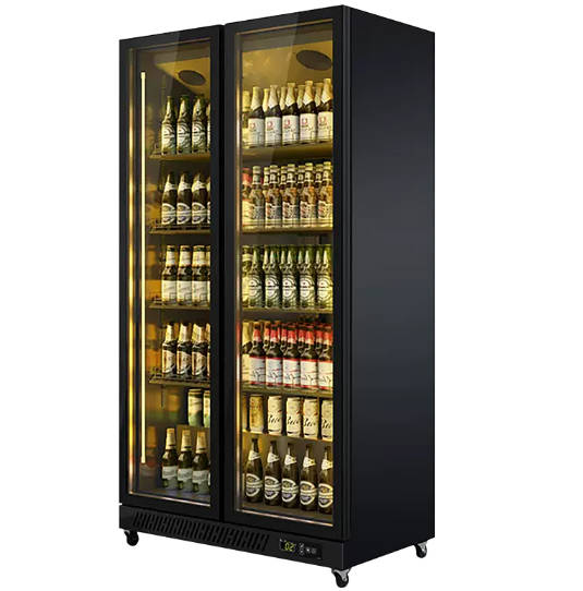 Two - Door Refrigerator